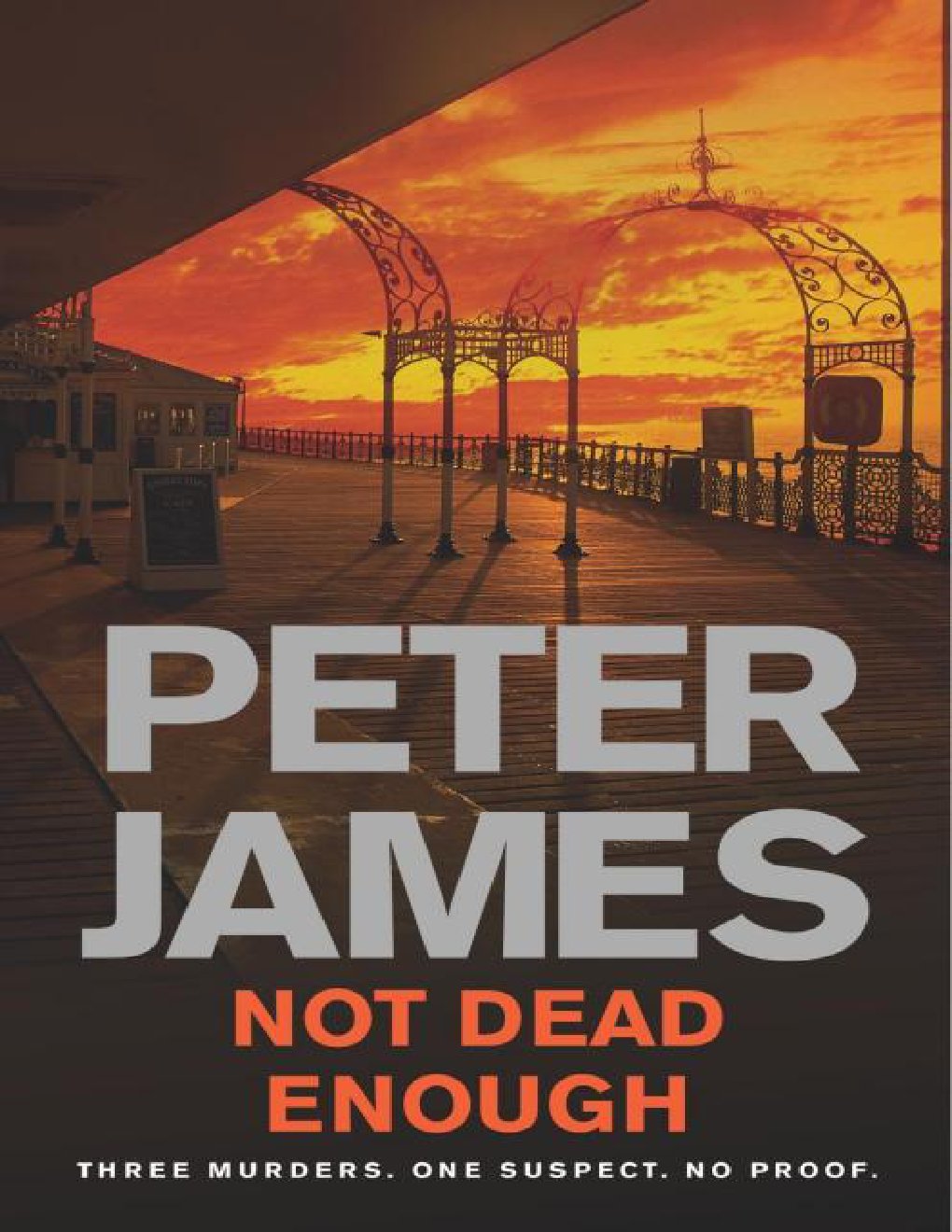 Cover of Not Dead Enough