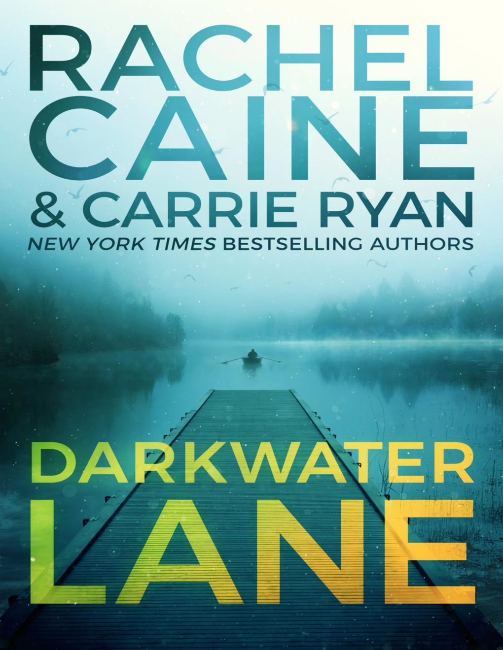 Cover of Darkwater Lane: (Stillhouse Lake Book 7)