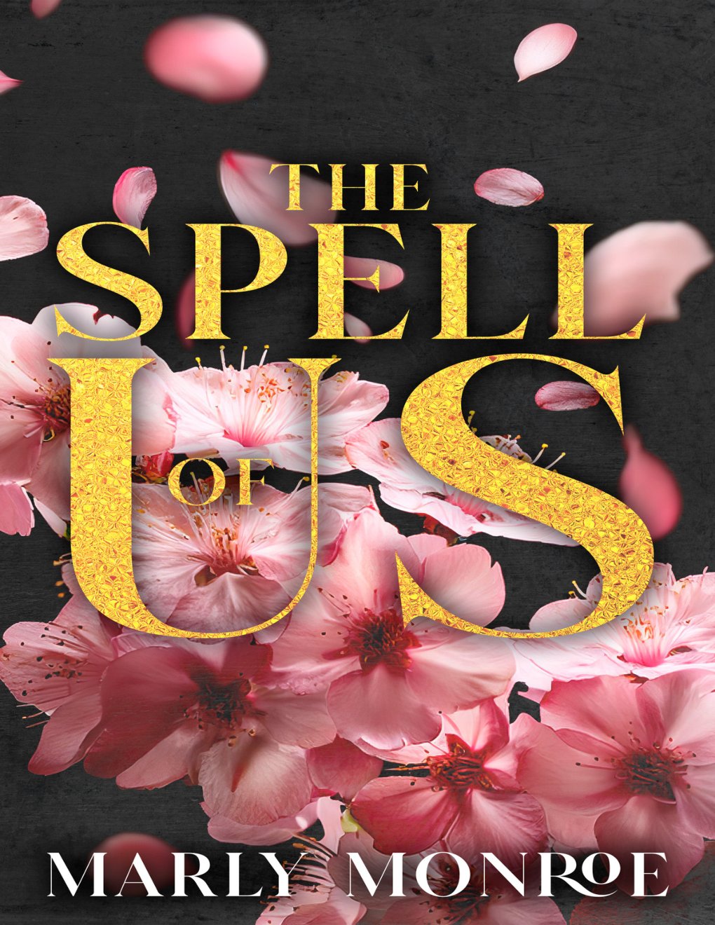 Cover of The Spell of Us