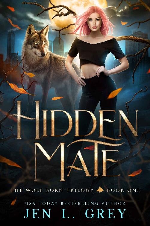 Cover of Hidden Mate (2021)