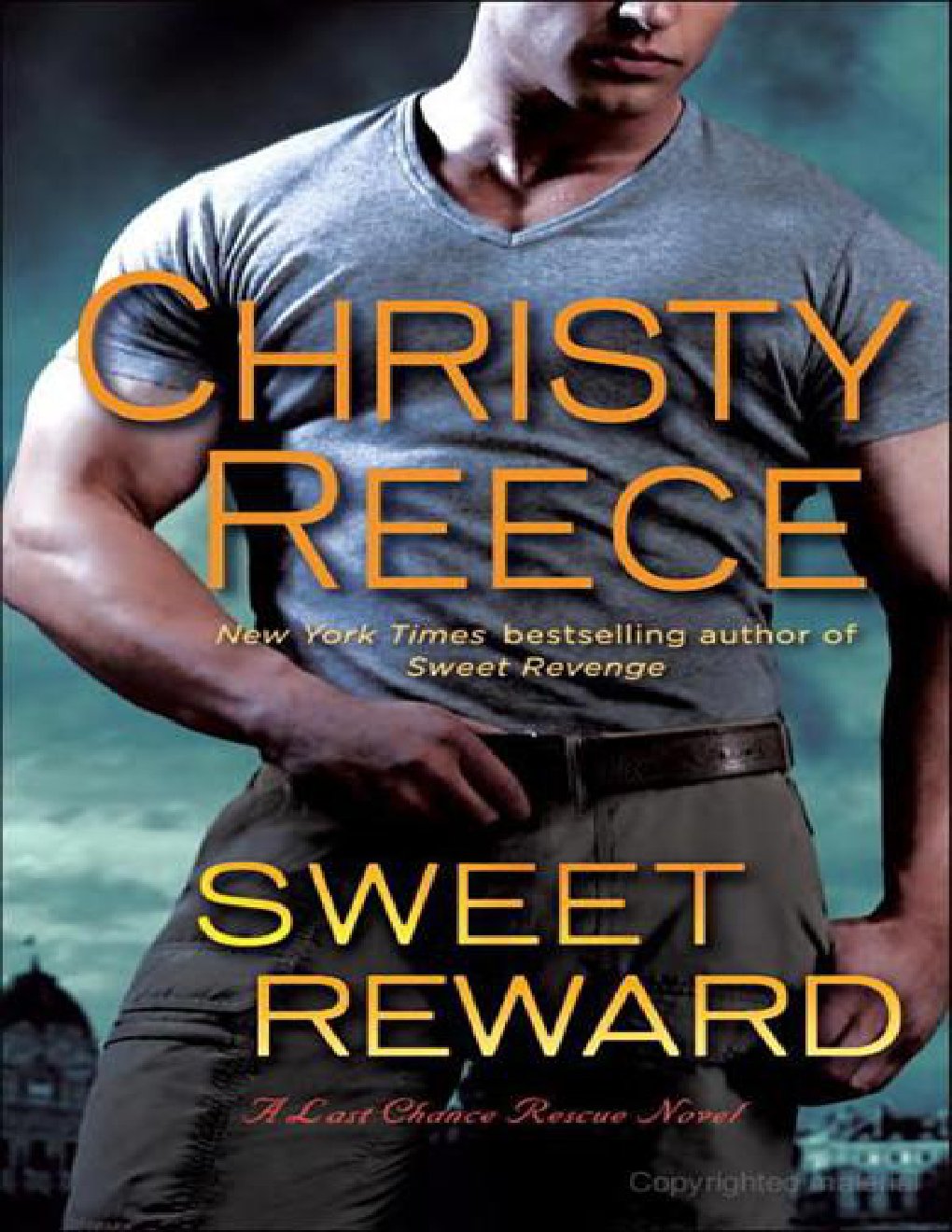 Cover of Sweet Reward-Last 9