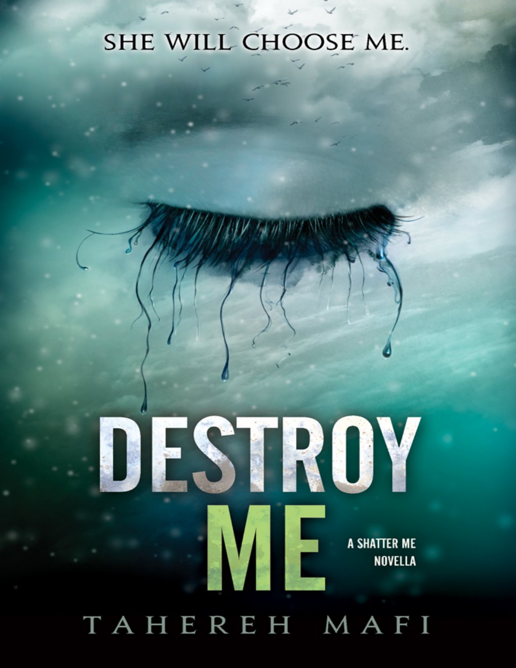 Cover of Destroy Me
