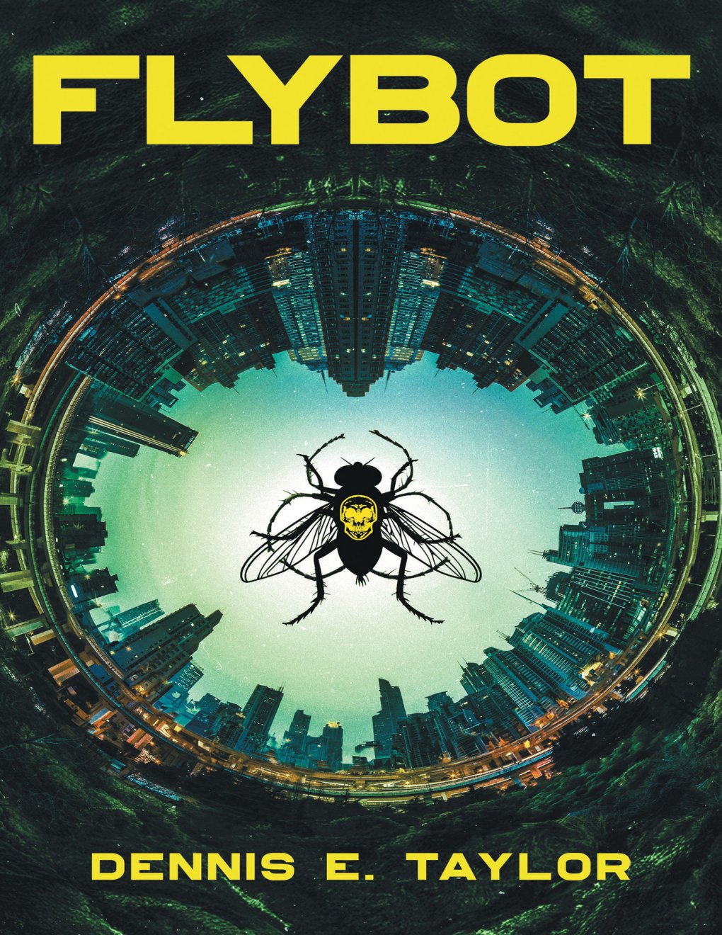 Cover of Flybot