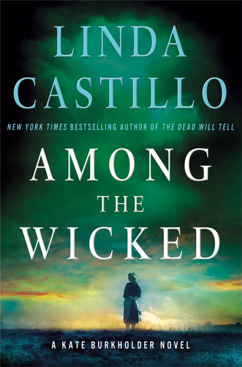 Cover of Among the Wicked: A Kate Burkholder Novel