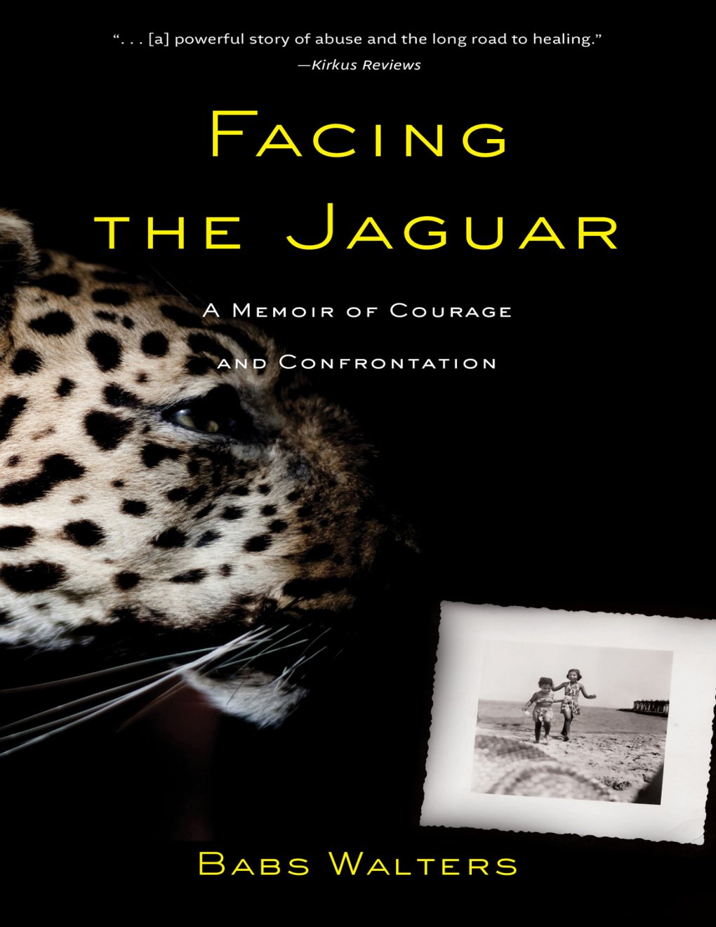 Cover of Facing the Jaguar