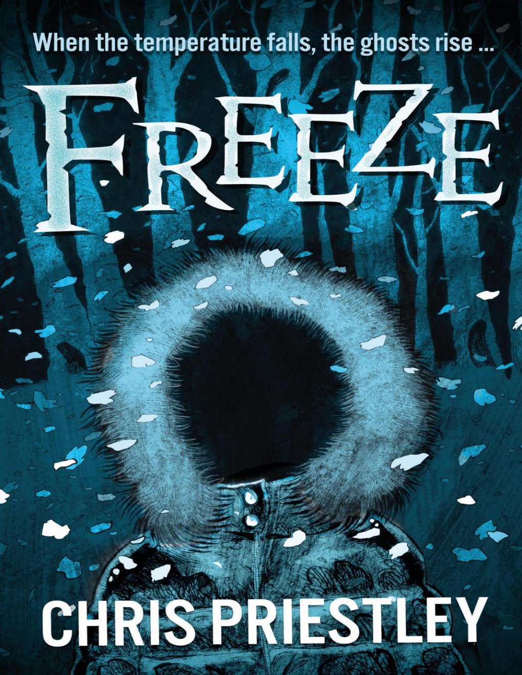 Cover of Freeze