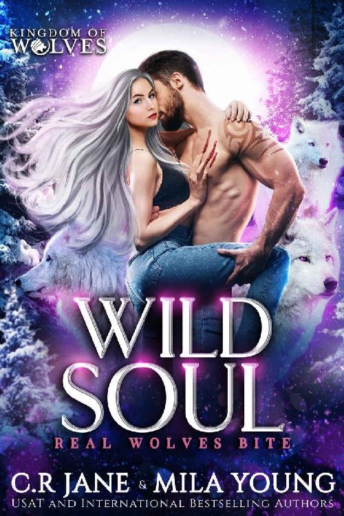 Cover of Wild Soul: A Rejected Mate Romance