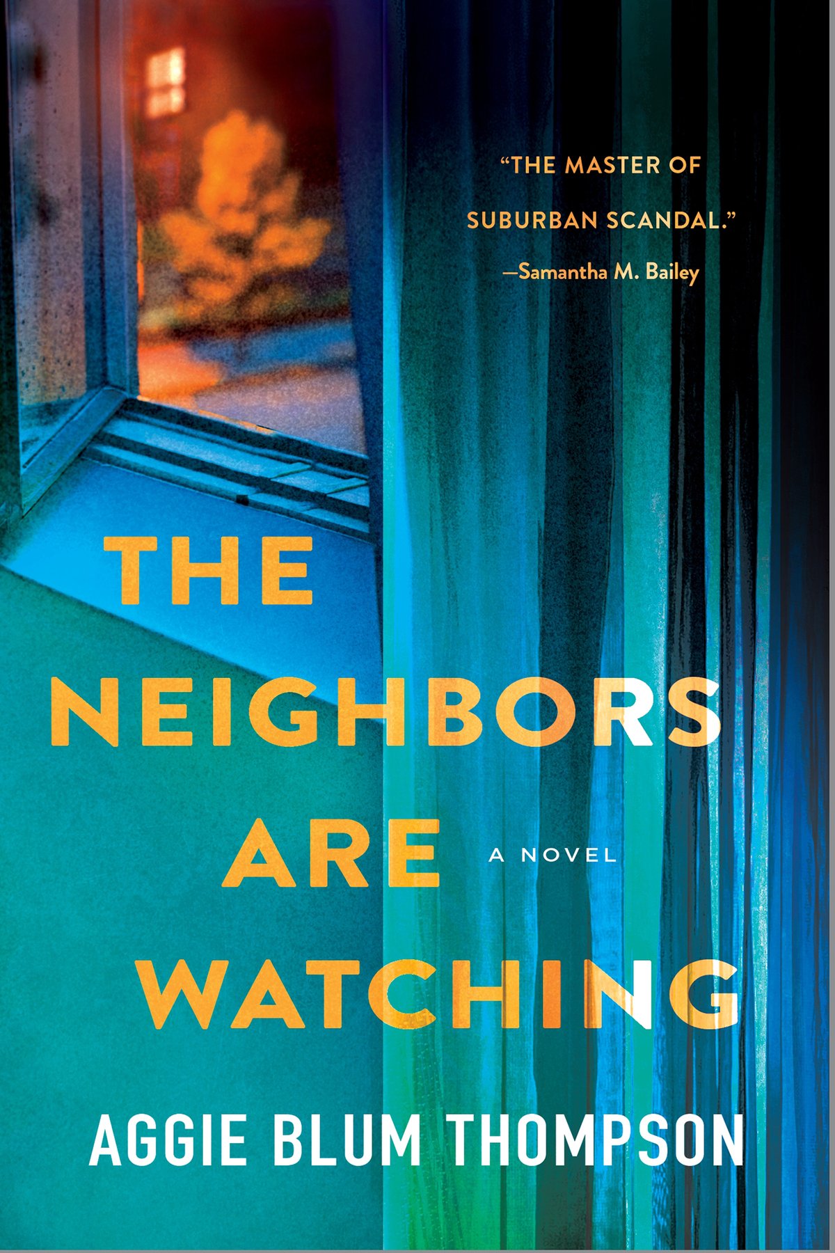Cover of The Neighbors Are Watching