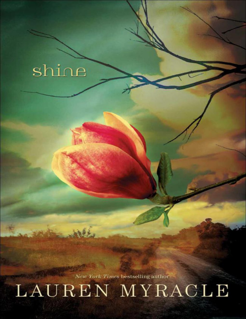 Cover of Shine