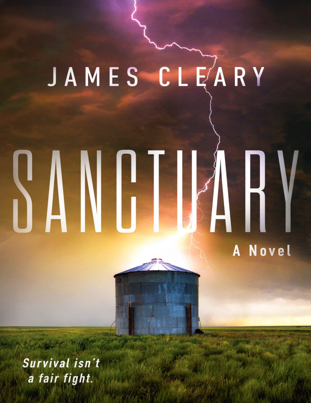 Cover of Sanctuary