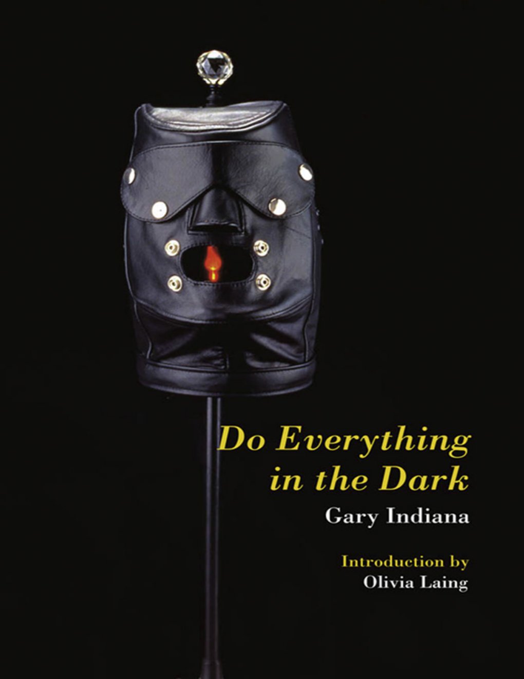 Cover of Do Everything in the Dark