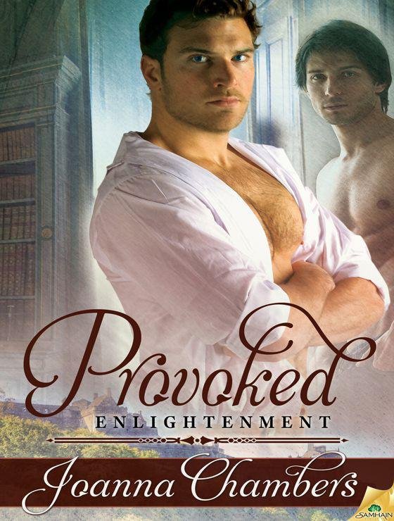 Cover of Provoked