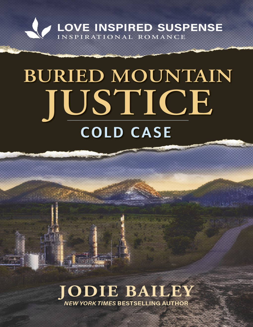 Cover of Buried Mountain Justice