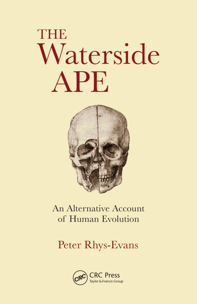 Cover of The Waterside Ape