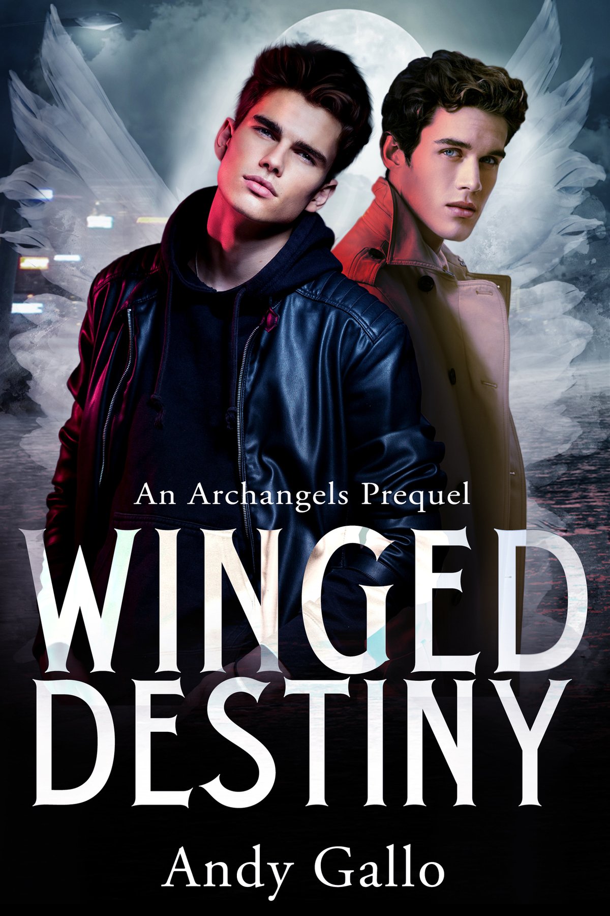 Cover of Winged Destiny An MM Paranorml Romance- An Archangels Prequel (1899)