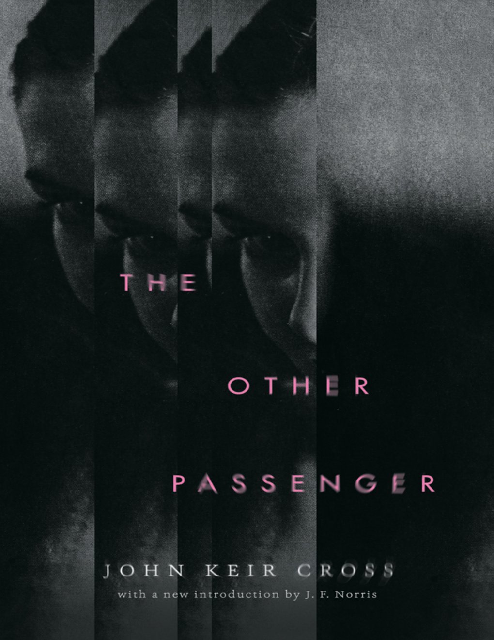 Cover of The Other Passenger
