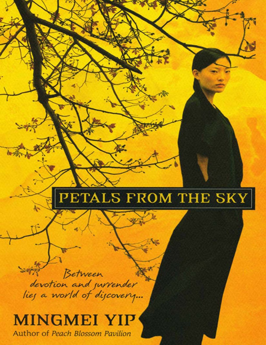 Cover of Petals from the Sky
