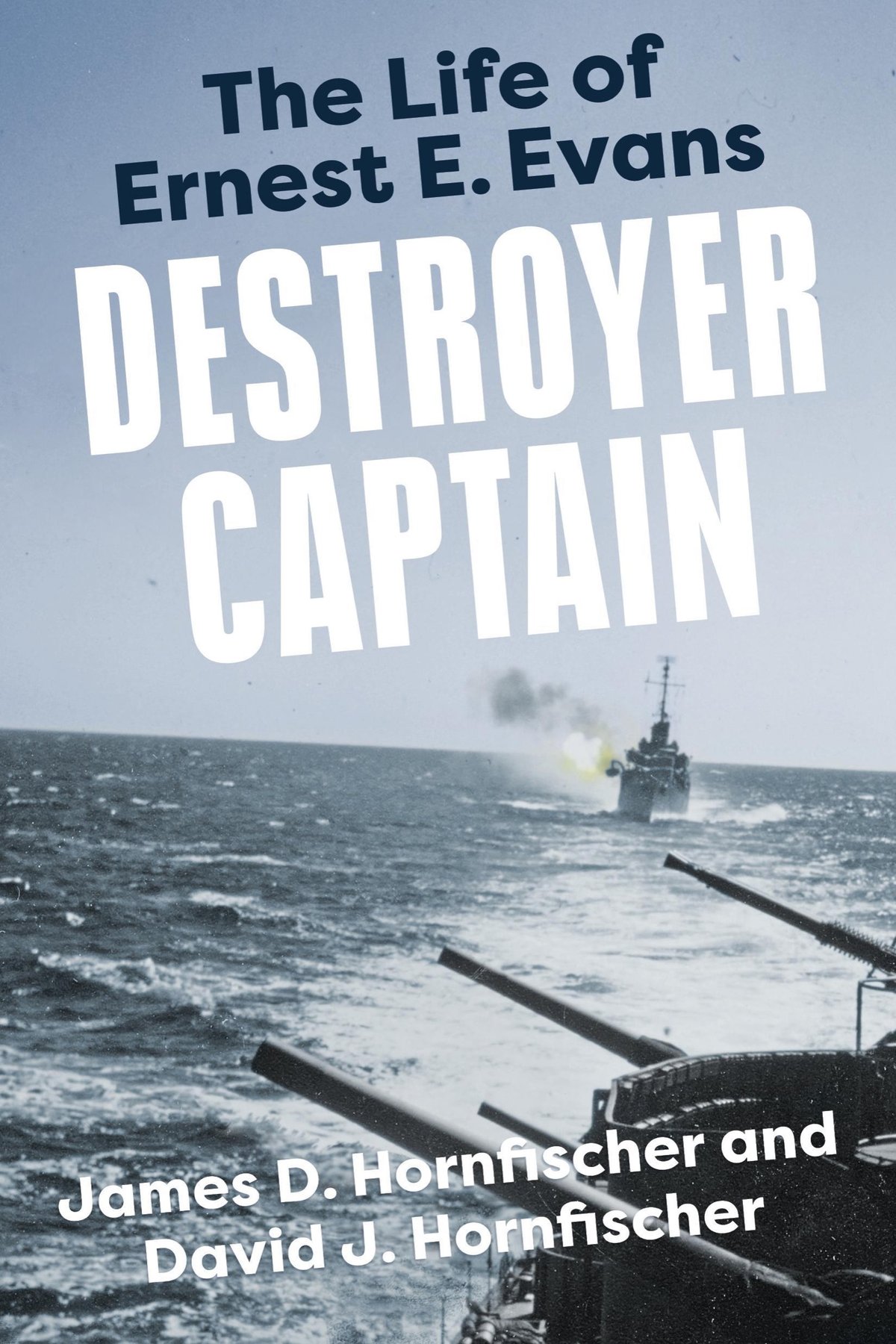 Cover of Destroyer Captain