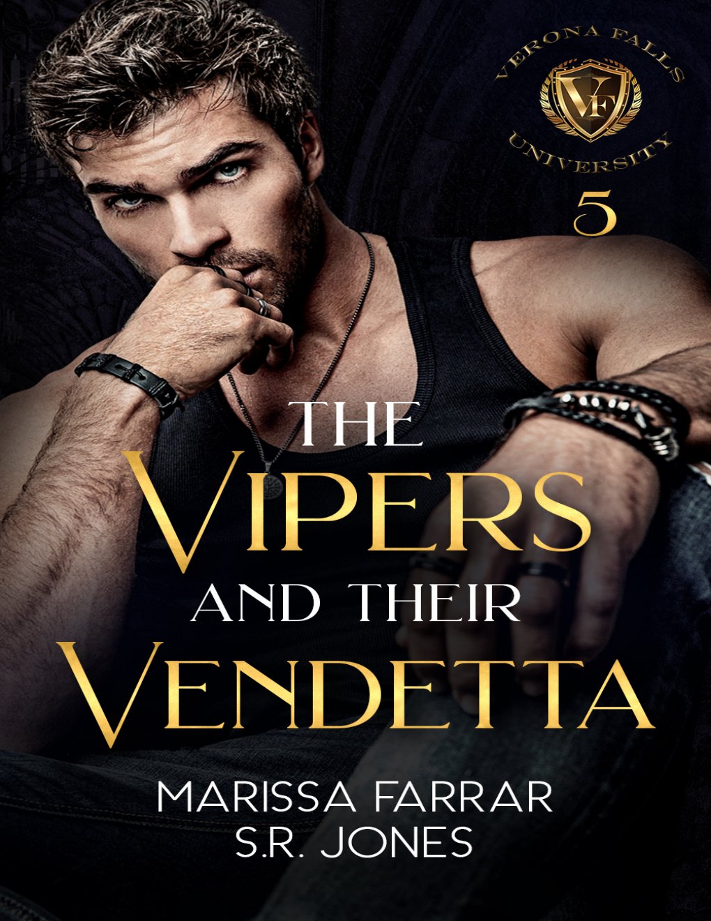 Cover of The Vipers and Their Vendetta: A Dark College Bully Romance