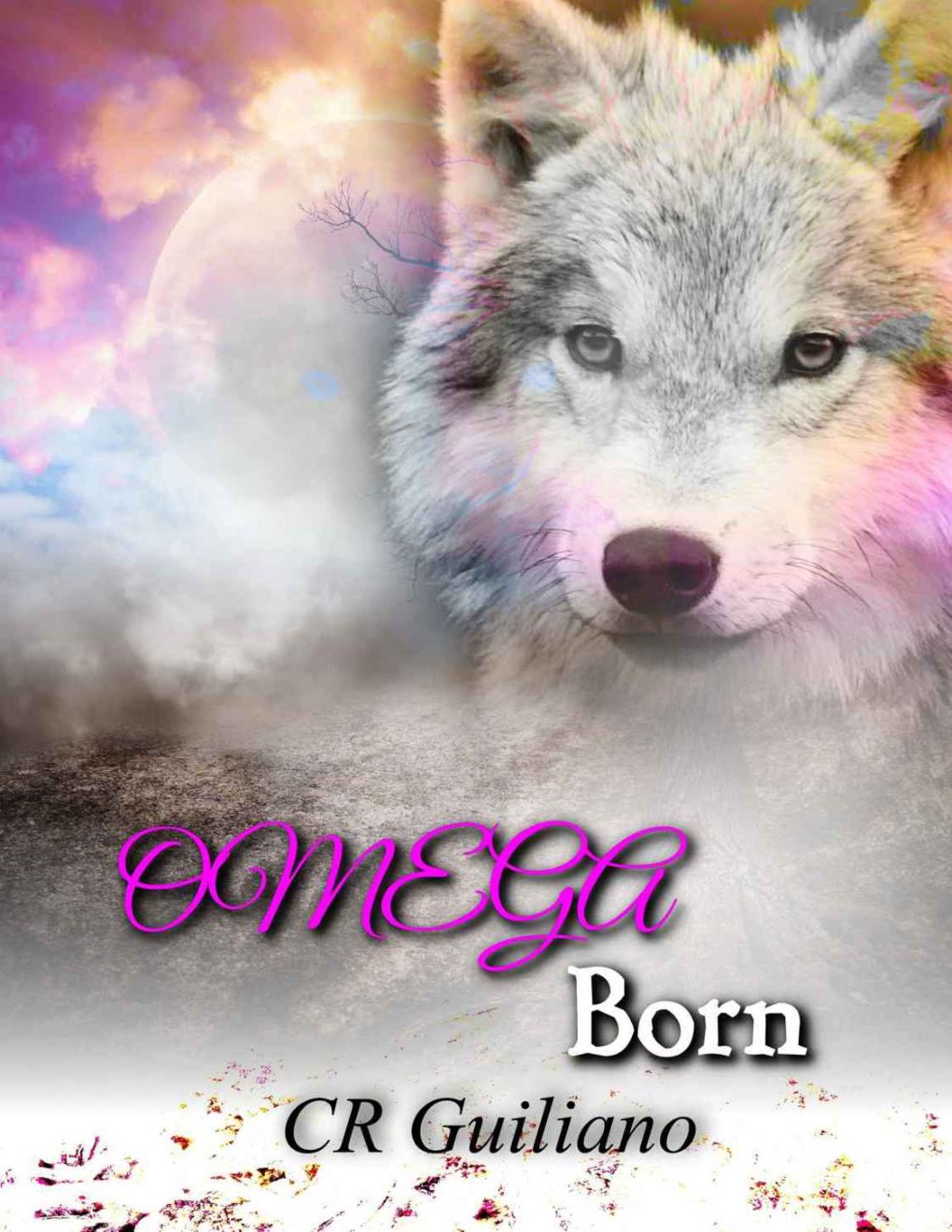 Cover of OMEGA Born
