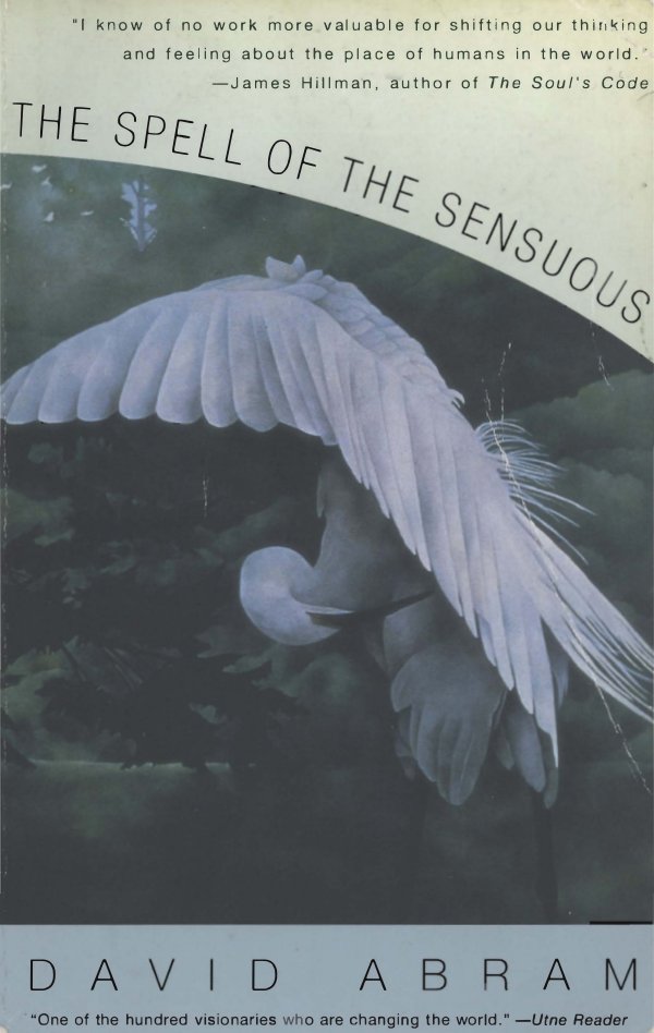Cover of THE SPELL