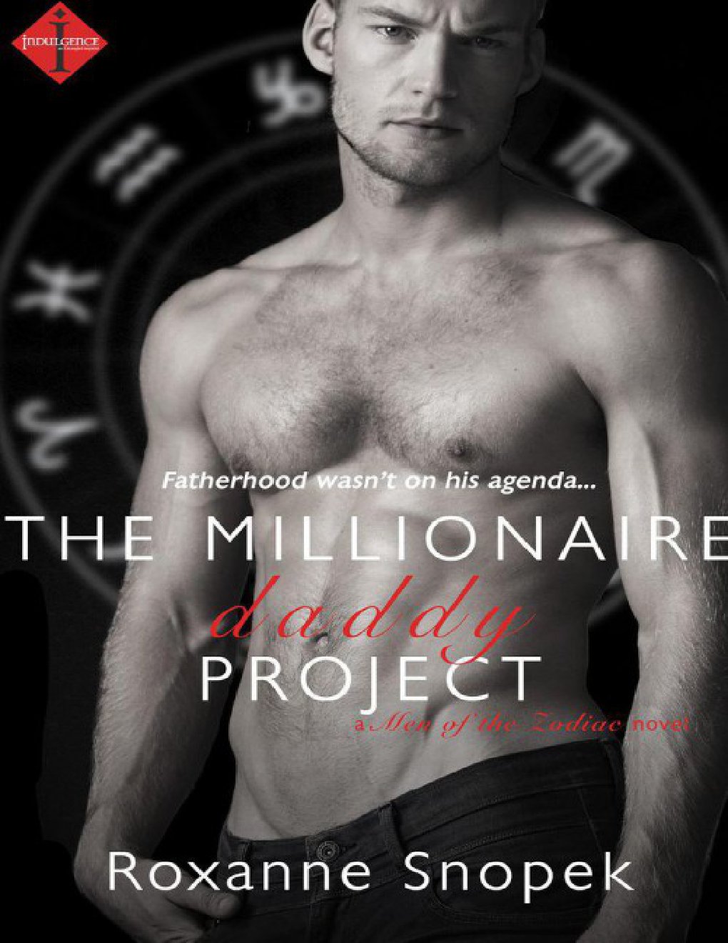 Cover of The Millionaire Daddy Project