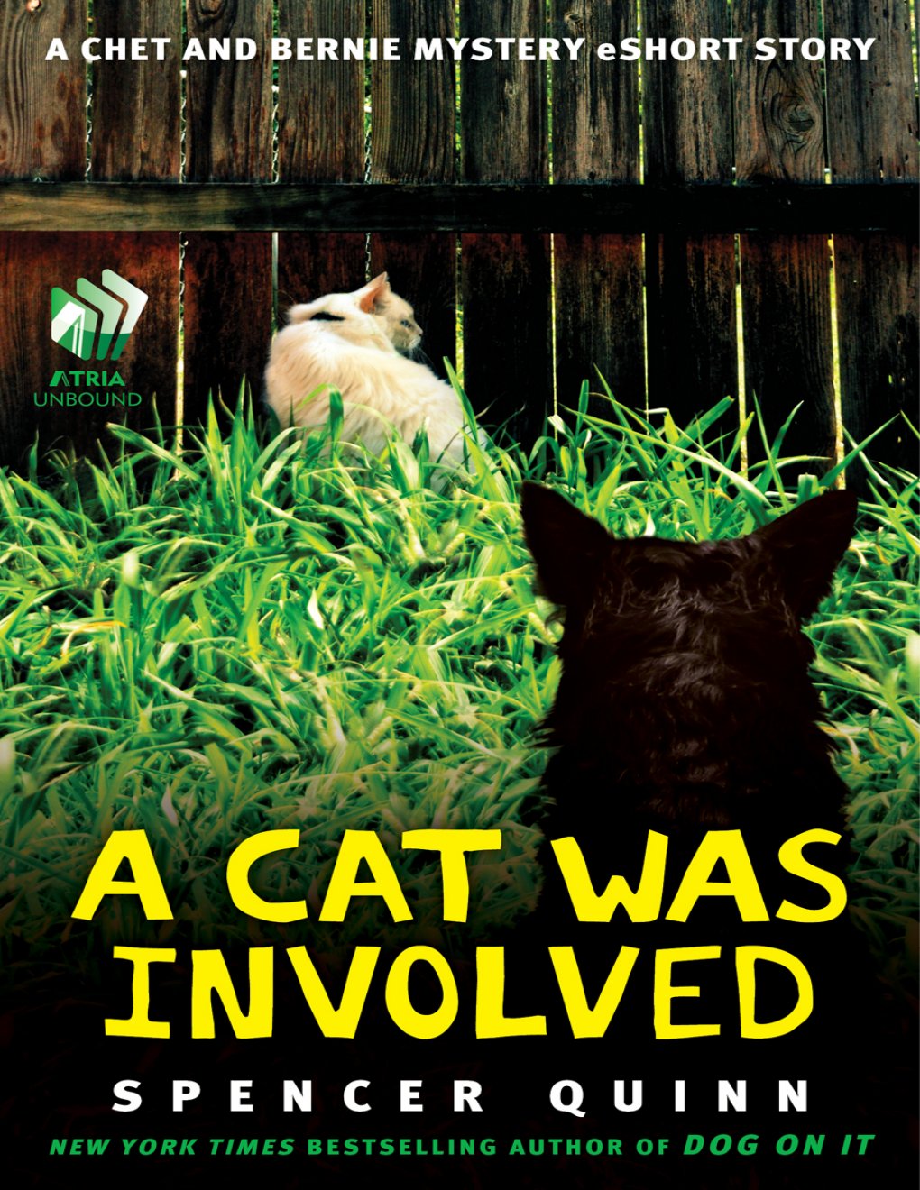 Cover of A Cat Was Involved