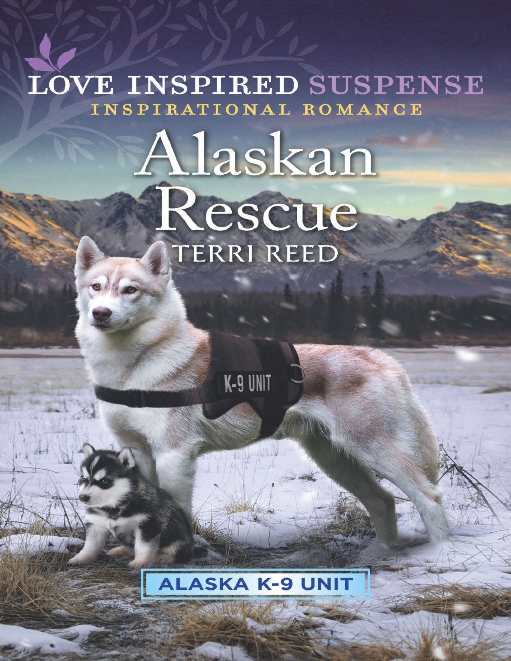 Cover of Alaskan Rescue