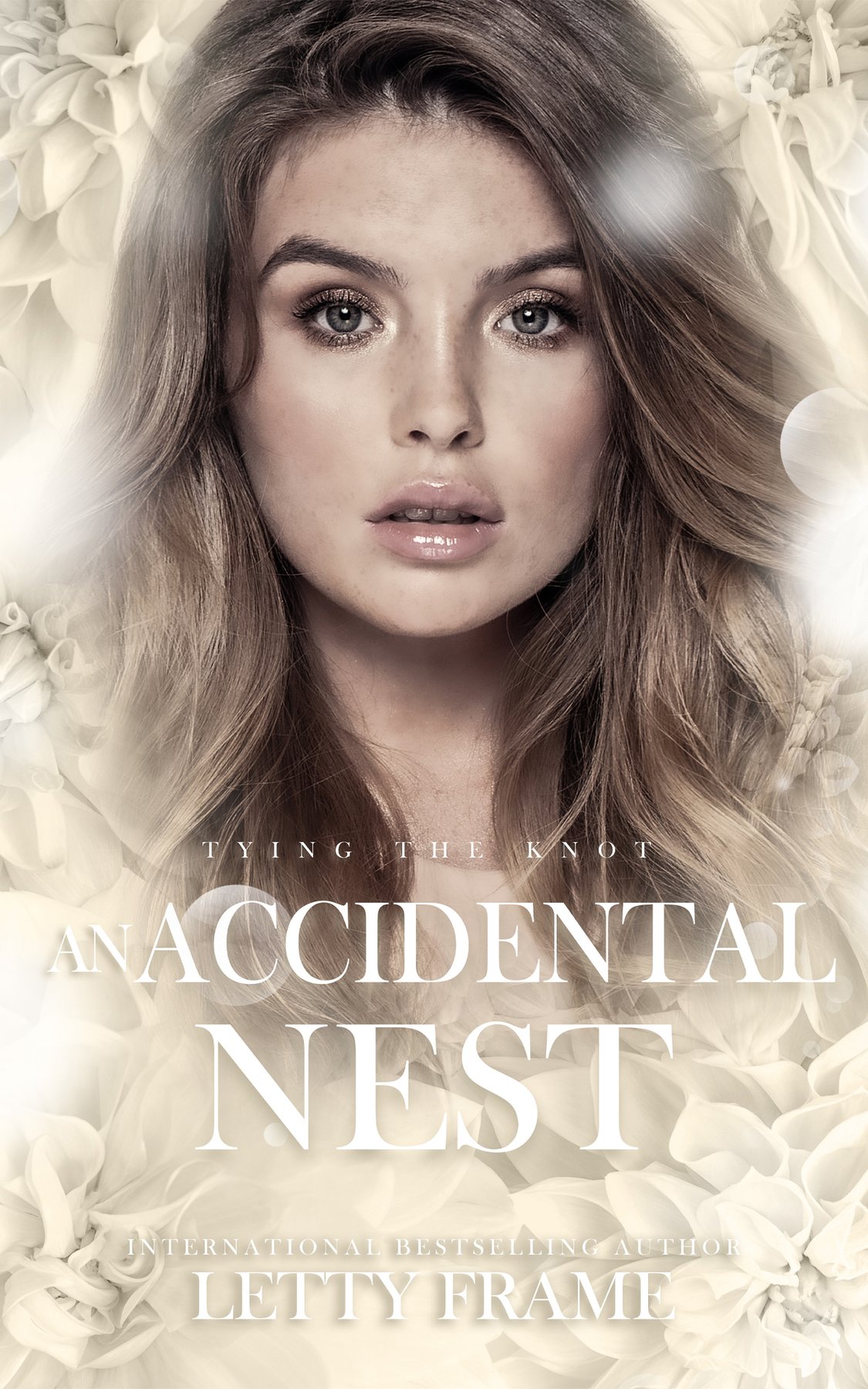Cover of An Accidental Nest (2025)