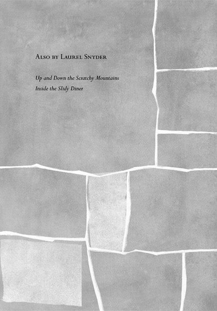 Cover of Any Which Wall (2009)