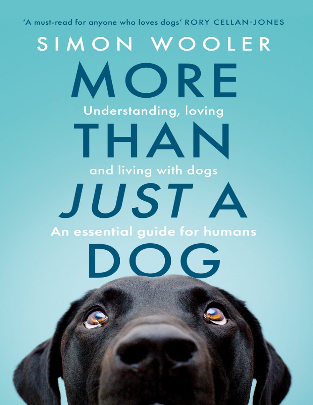 Cover of More Than Just a Dog