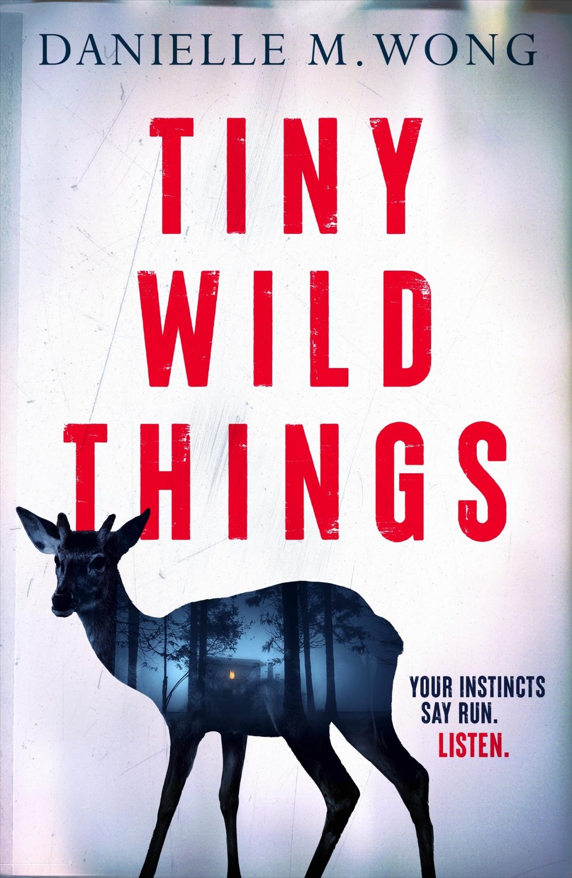 Cover of Tiny Wild Things