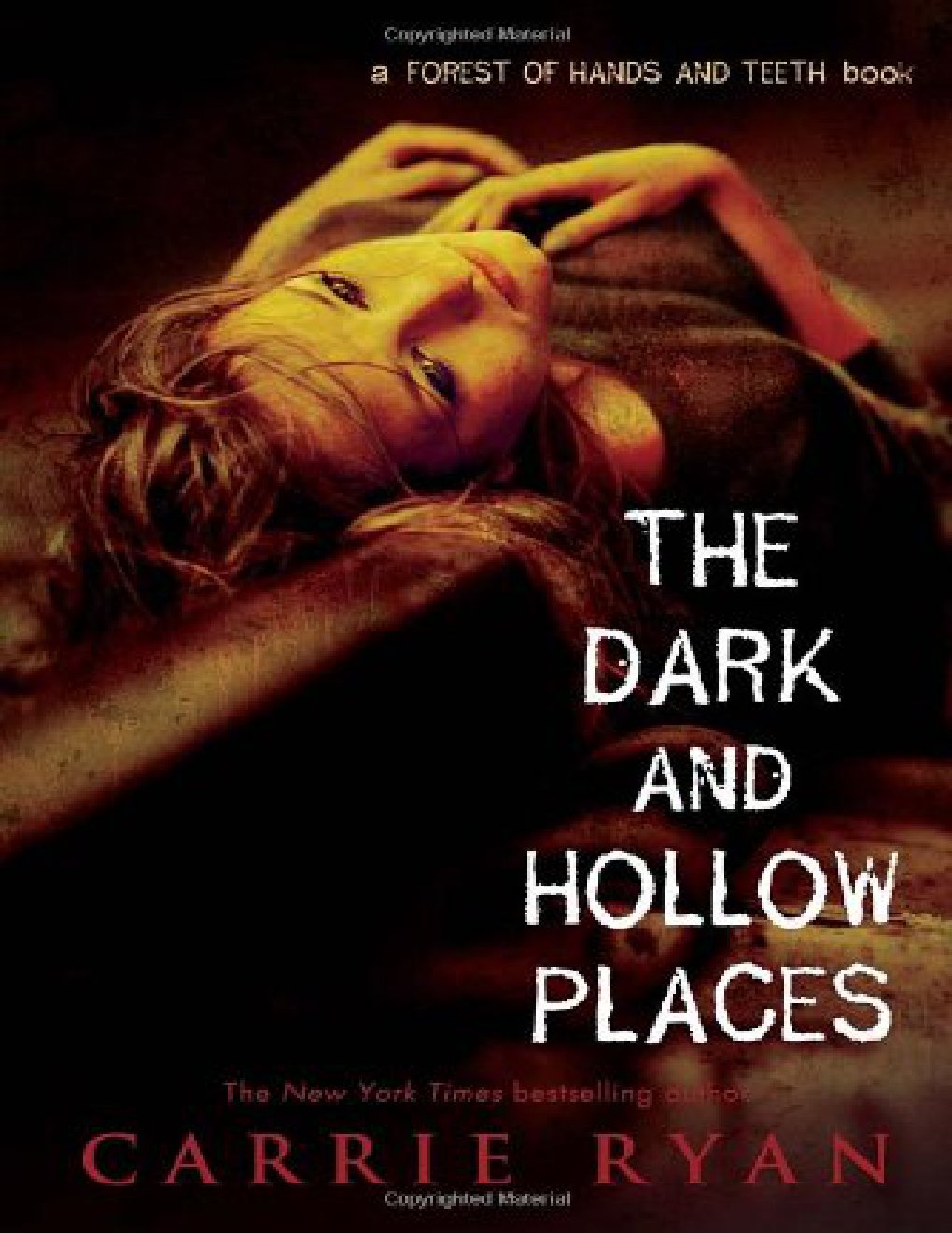 Cover of The Dark and Hollow Places