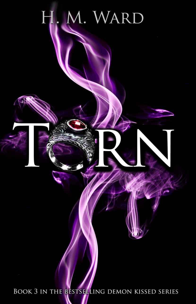 Cover of Torn