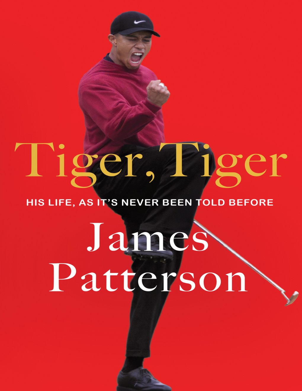 Cover of Tiger, Tiger