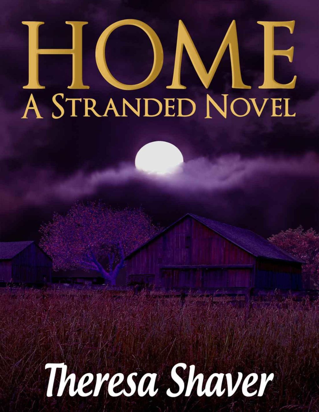 Cover of Home: A Stranded Novel