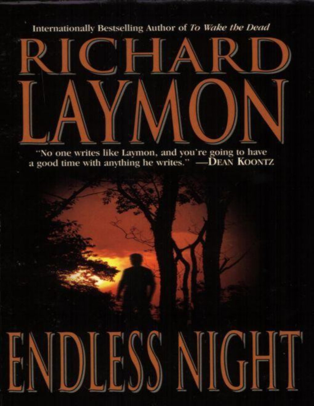 Cover of Endless Night