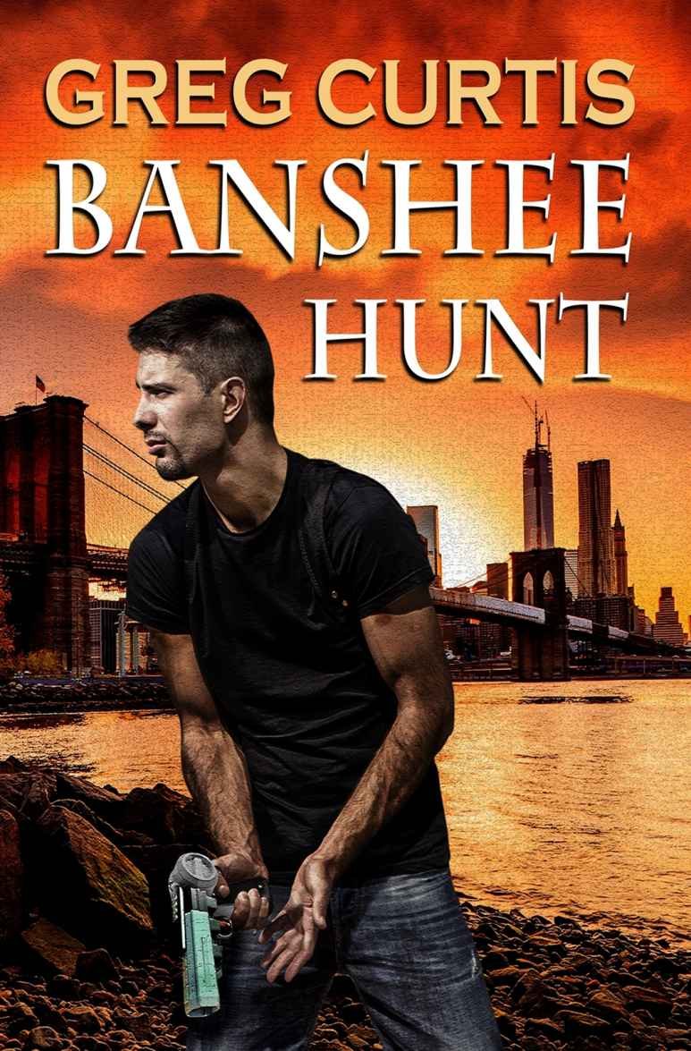 Cover of Banshee Hunt (2010)