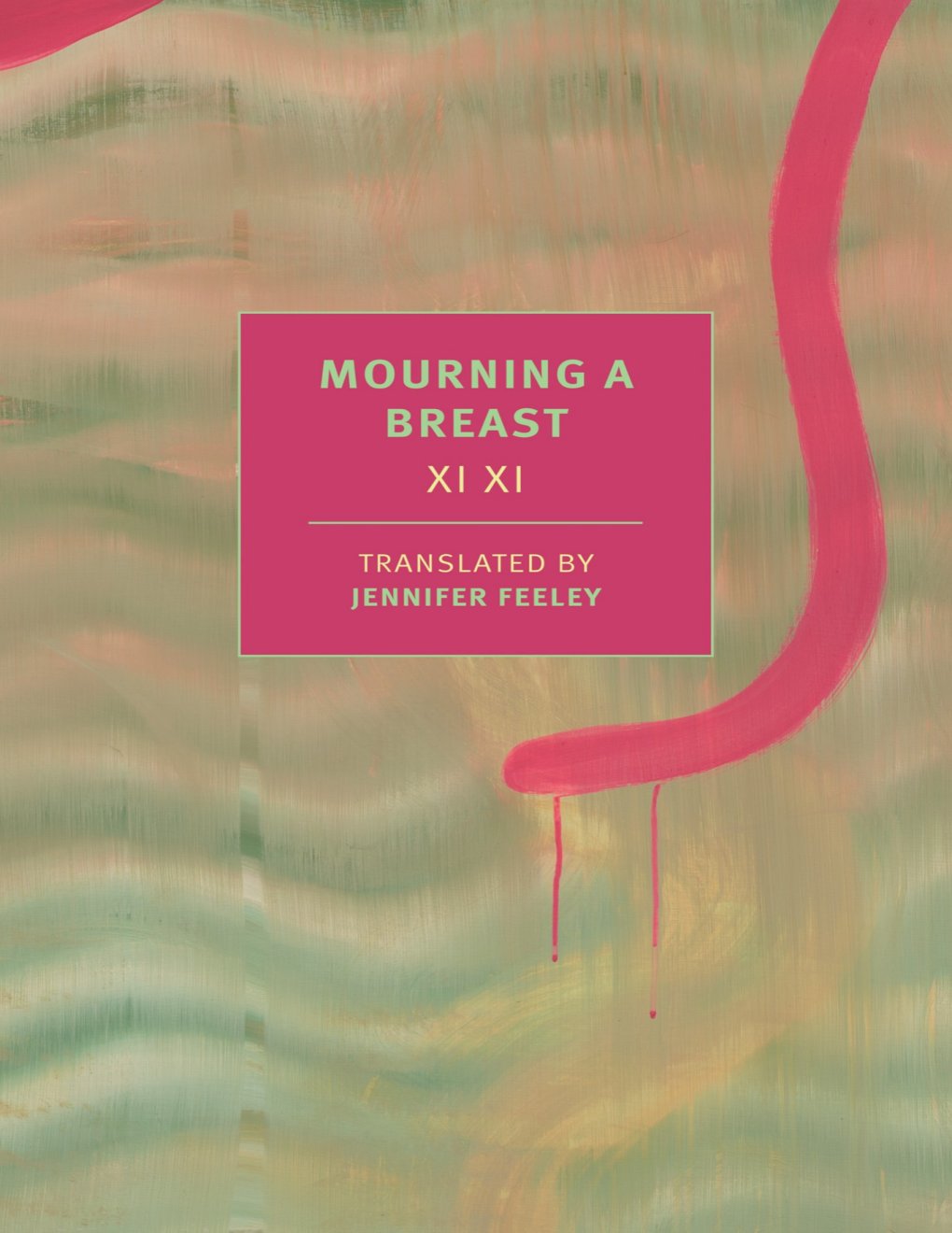 Cover of Mourning a Breast