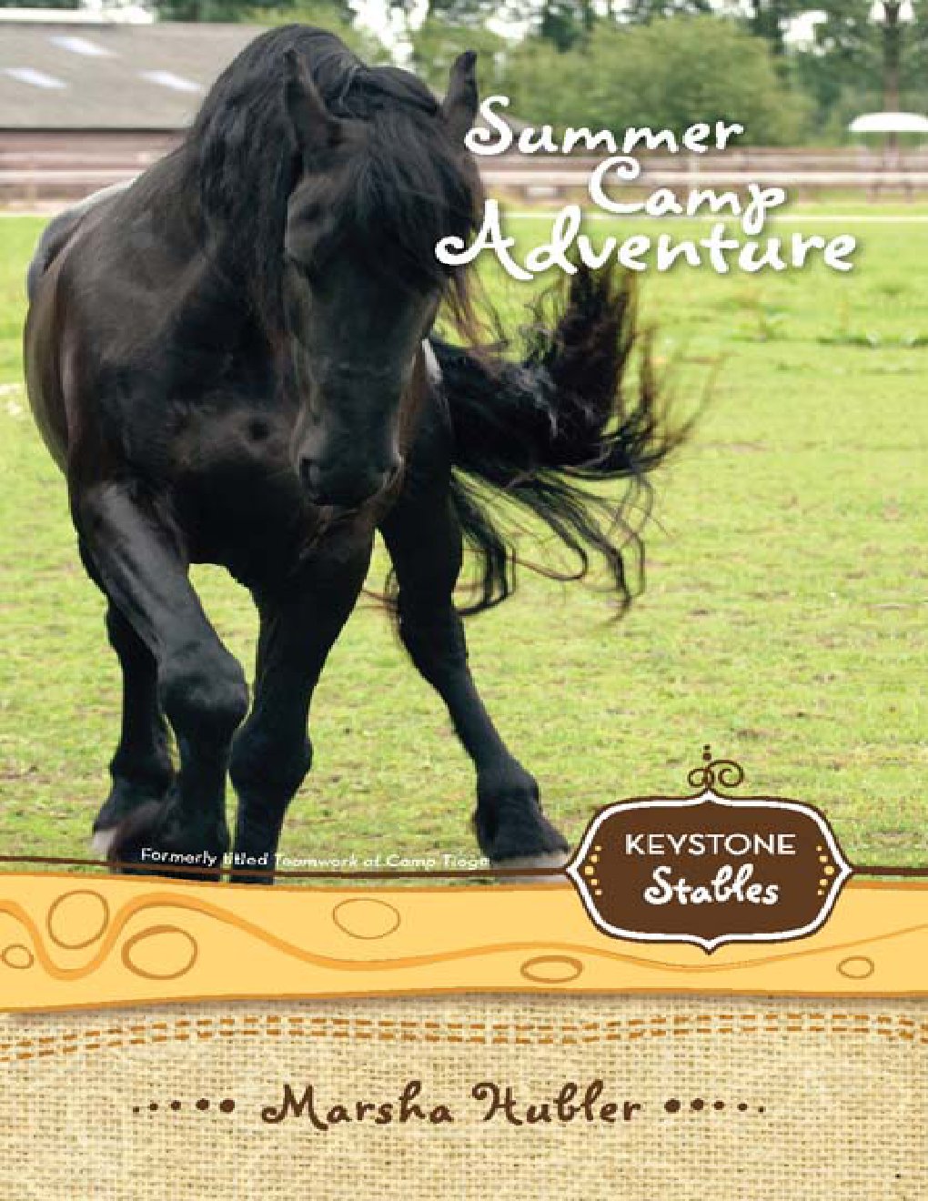 Cover of Summer Camp Adventure