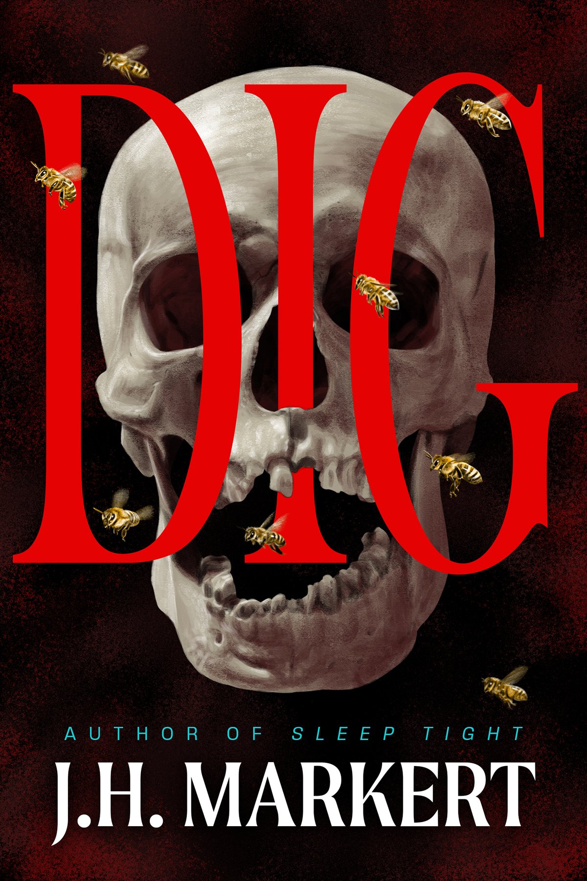 Cover of Dig
