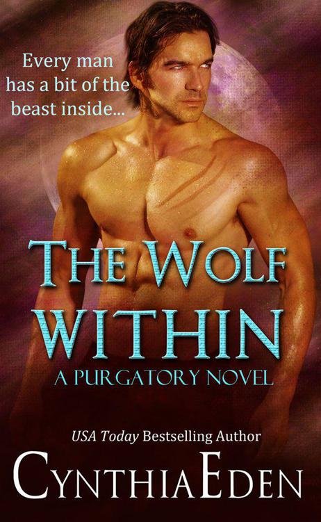 Cover of The Wolf Within (2012)
