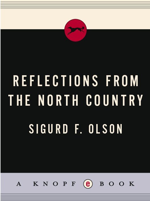 Cover of Reflections from the North Country