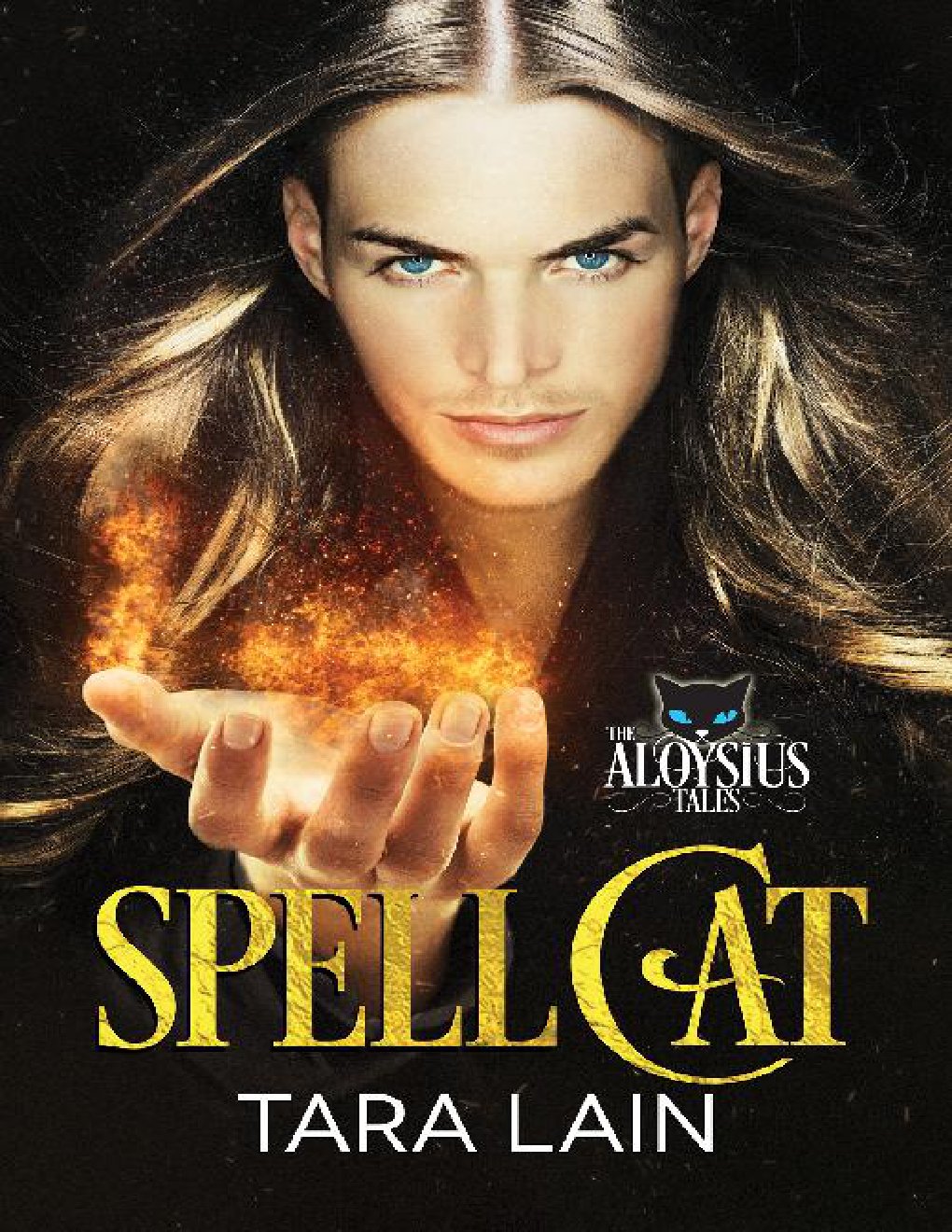 Cover of Spell Cat (2012)