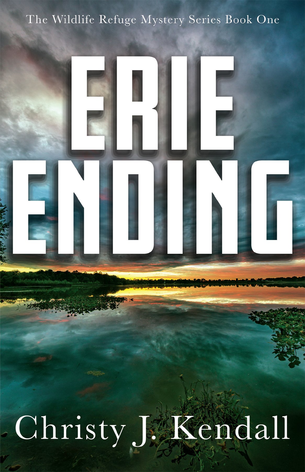 Cover of Erie Ending