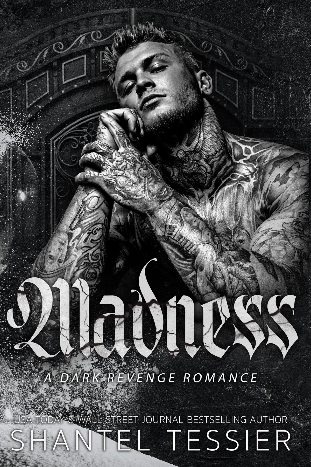 Cover of Madness- A Dark Revenge Romance (2024)