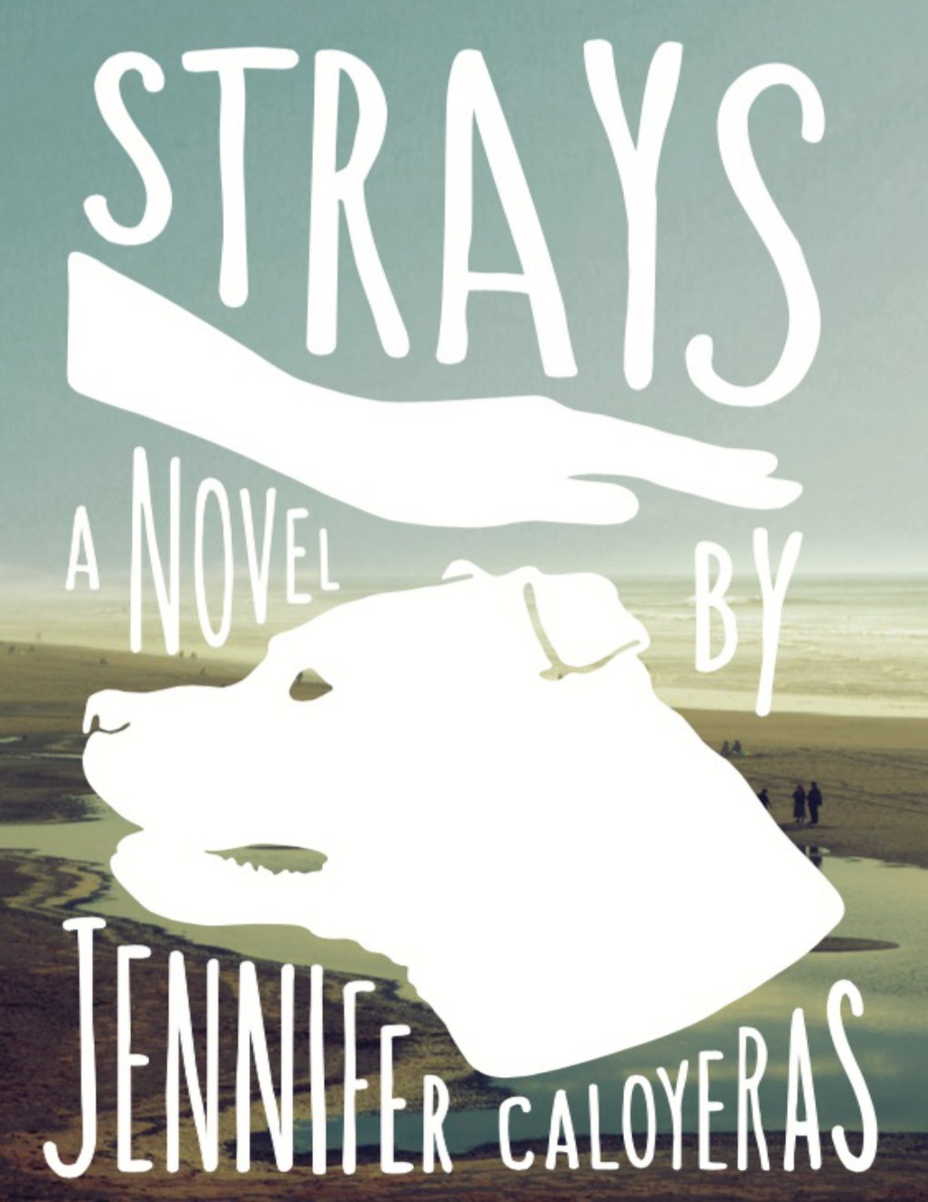 Cover of Strays