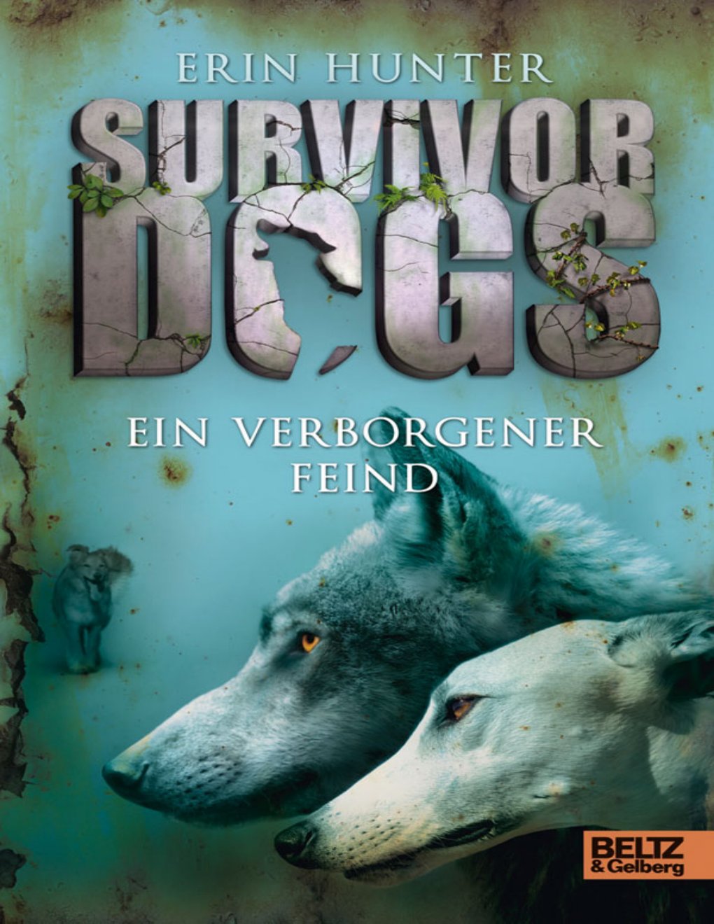 Cover of Ein verborgener Feind