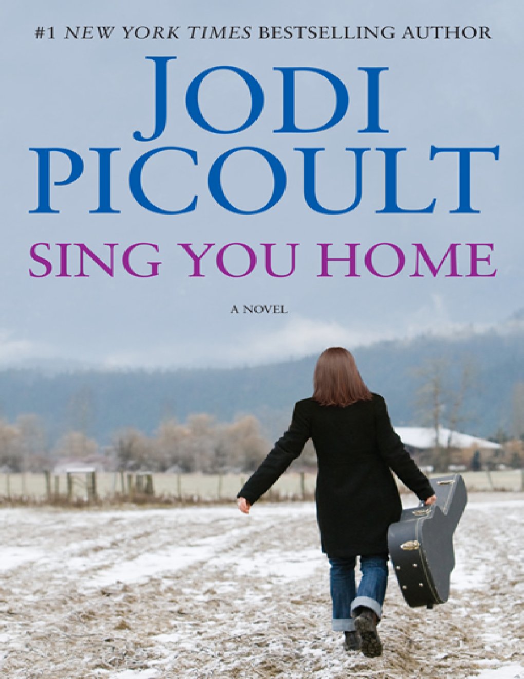Cover of Sing You Home