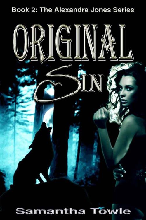 Cover of Original Sin (2012)
